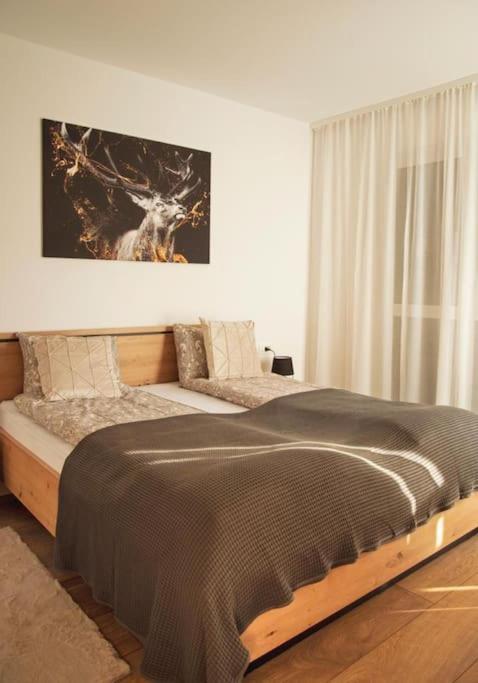 5 Dream Apartment 5 Cu Parcare Privata ออราแด ภายนอก รูปภาพ