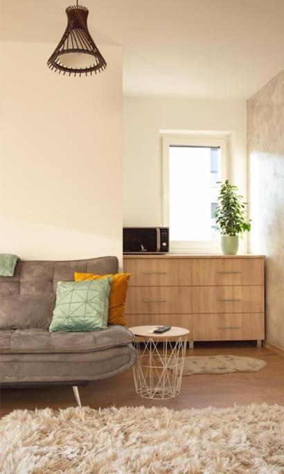 5 Dream Apartment 5 Cu Parcare Privata ออราแด ภายนอก รูปภาพ